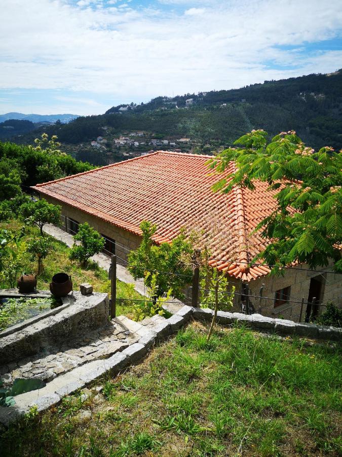 Villa Encosta Do Douro - Rio Douro Cinfães Exterior foto