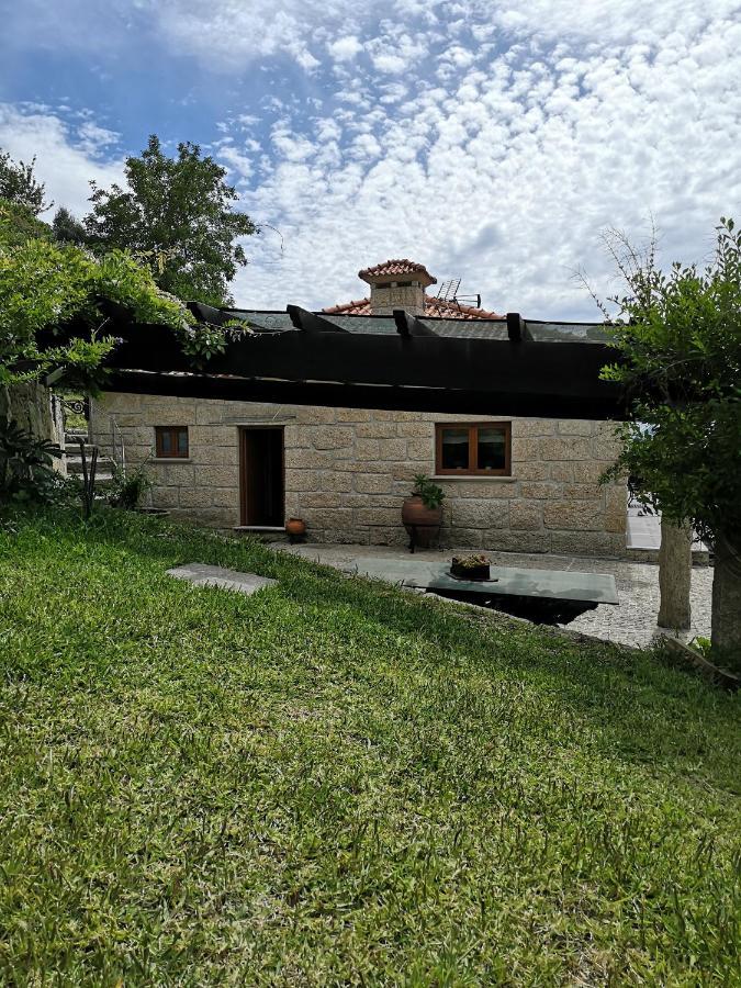 Villa Encosta Do Douro - Rio Douro Cinfães Exterior foto