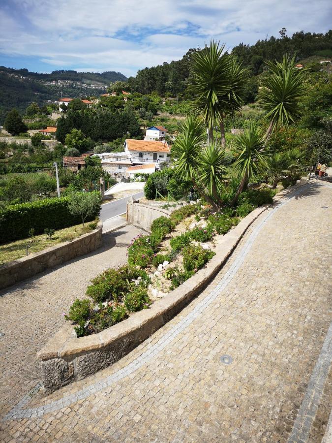 Villa Encosta Do Douro - Rio Douro Cinfães Exterior foto
